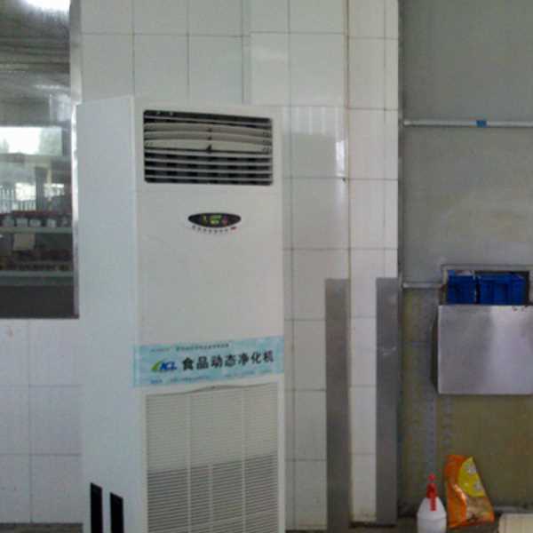 湖北食品智能空气杀菌器